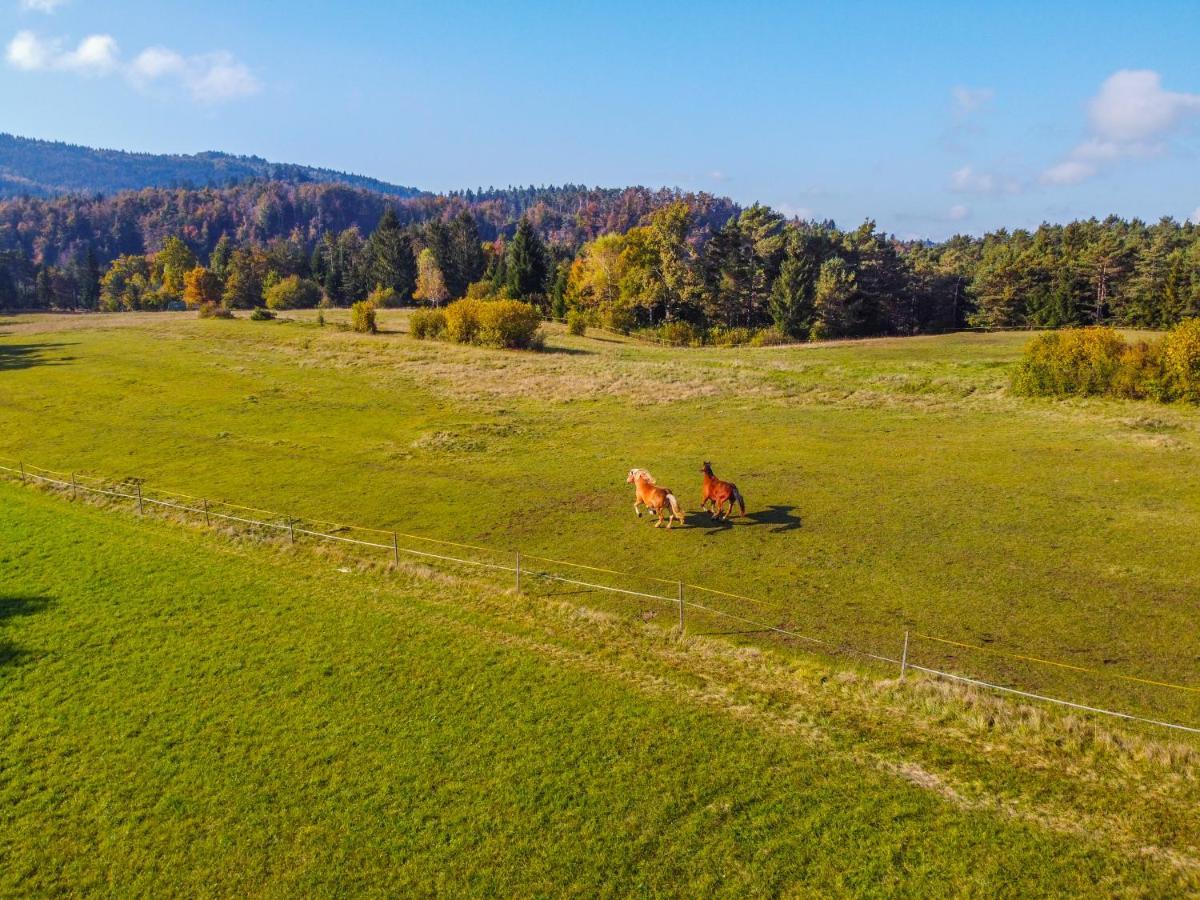 Notranjska Hisa - Traditional Country House, Close To The World Attraction Cerknica Lake Begunje pri Cerknici Εξωτερικό φωτογραφία