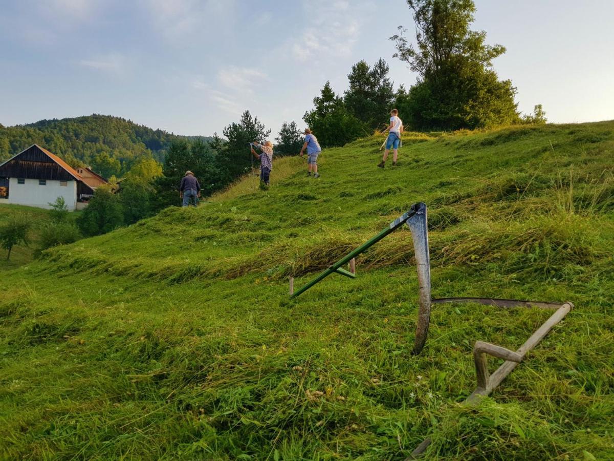 Notranjska Hisa - Traditional Country House, Close To The World Attraction Cerknica Lake Begunje pri Cerknici Εξωτερικό φωτογραφία